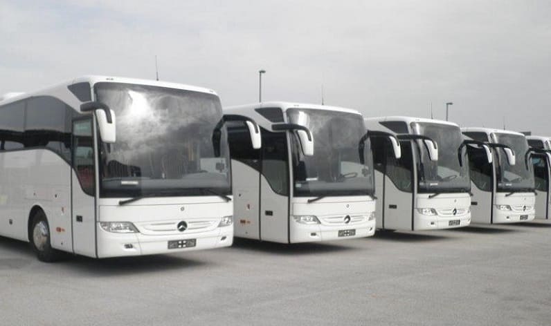 Montenegro: Bus company in Burtaiši in Burtaiši and Europe