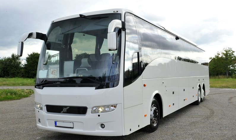Italy: Buses agency in Campania in Campania and Avellino