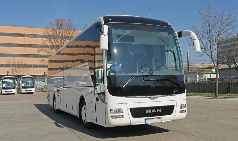 Montenegro: Buses operator in Bjeliši in Bjeliši and Europe